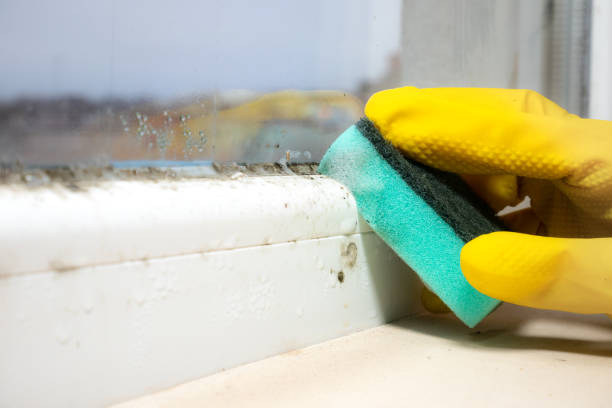 Mold Removal for HVAC Installations